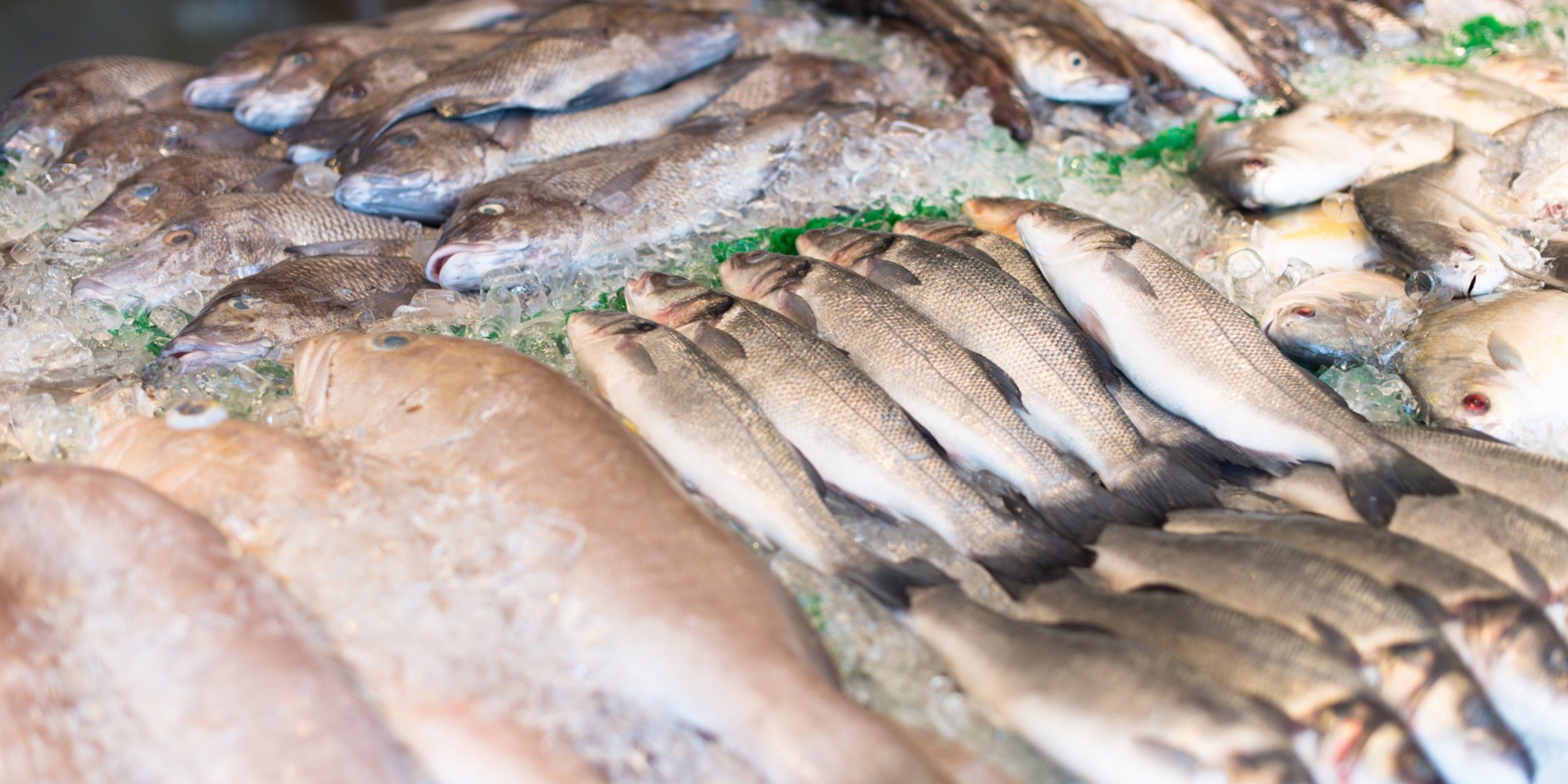 mercurio en el pescado - pescado crudo
