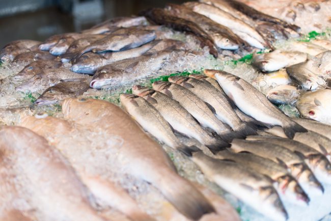 mercurio en el pescado – pescado crudo mercurio en el pescado - pescado crudo
